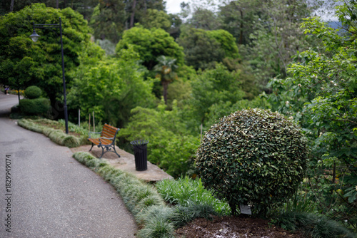 Curved asphalt path winds through lush green garden, featuring a wooden bench, black trash can, and a spherical topiary bush. Soft natural light illuminates dense foliage and manicured plants.