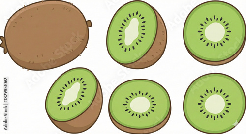 Kiwi set — whole kiwi, brown skin, sliced kiwi, kiwi rings.