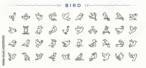 Bird icon pack. Outline icons pack. Editable stroke vector art. Wildlife line icon set. Contains such symbols as nature, fly, animal, wildlife and more.