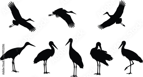 Black Silhouette Set of Storks and Cranes in Various Poses Flying with Wings Spread and Standing on Long Legs, Representing Wildlife, Wetland Birds, and Nature