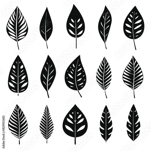 Fifteen stylized plant leaves exhibit various internal vein patterns in a bold, contrasting black and white palette