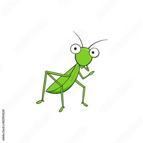 vector clip art mantis on white background for web and graphic design