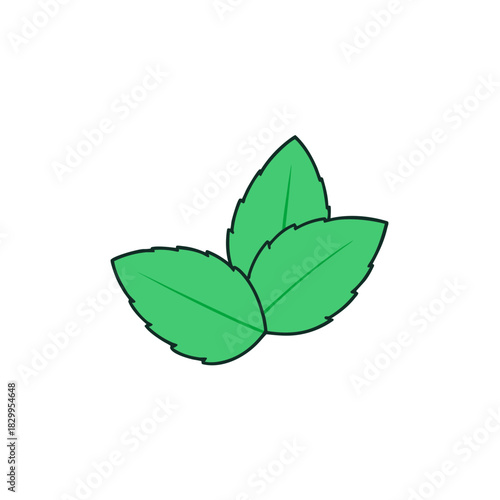 vector clip art mint leaf on white background for web and graphic design