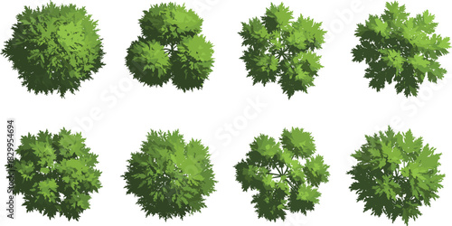Top view green tree set, foliage vector illustration, landscape design element, isolated plant icons, flat tree graphic for architecture