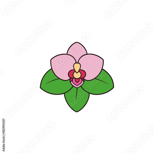 vector clip art orchid on white background for web and graphic design