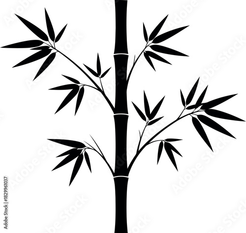 Silhouetted bamboo stalk with branching leaves against white