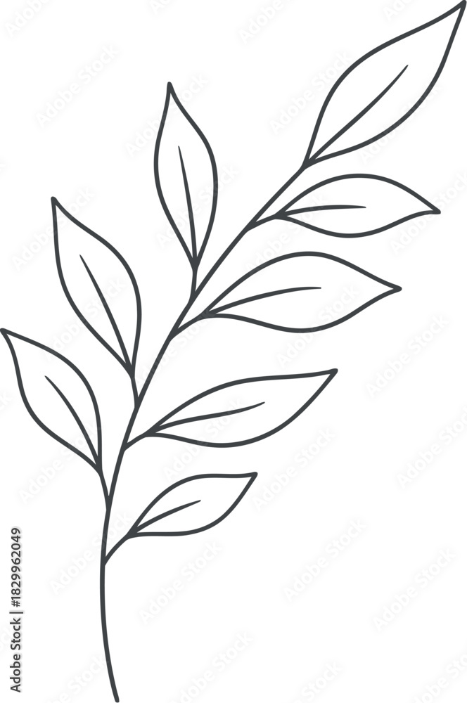 Naklejka premium Elegant hand drawn botanical branch with delicate leaves illustration