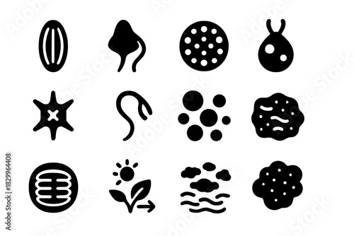 Phytoplankton Diversity Icons. Solid style icons of Phytoplankton diversity: diatom, dinoflagellate, coccolithophore, chlorophyte,