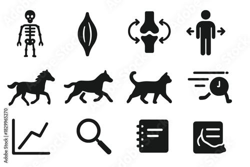 Biomechanics Motion Study Icons. Solid style icons of biomechanics and motion study: skeleton figure, muscle diagram, joint