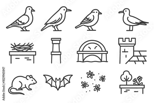 Urban Wildlife Icons. Line style icons of urban wildlife: pigeon, crow, sparrow, seagull; rooftop nest, chimney pot, bridge arch,