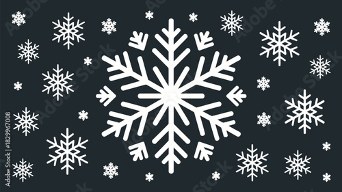 White snowflakes of varying sizes scattered across a dark gray background with a large snowflake center