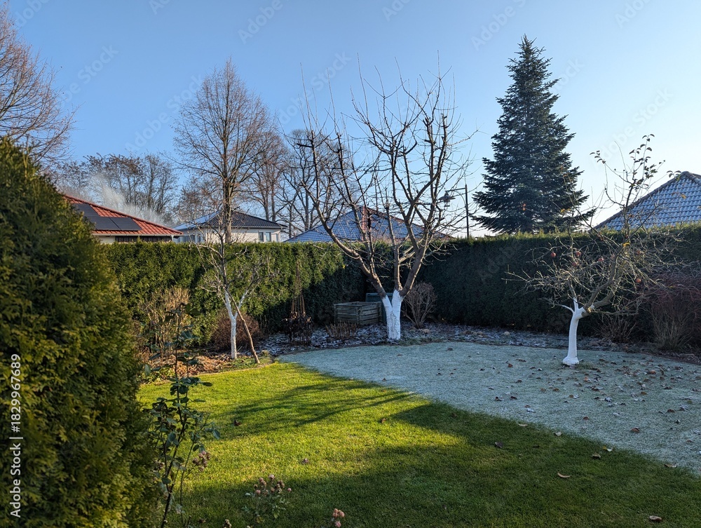 Fototapeta premium lake in the park