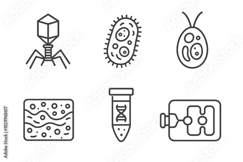Marine Microbiology Icons. Line style icons of marine microbiology: marine virus icon, deep-sea bacteria, phytoplankton cell,