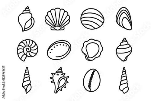 Shell Icon Collection. Line style icons of shell collections: conch, scallop, clam, mussel; nautilus, abalone, oyster, top shell;
