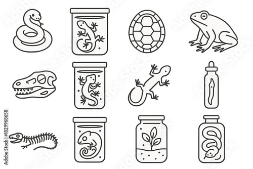 Preserved Reptile Icons. Line style icons of preserved reptiles: coiled snake, lizard in jar, turtle shell, frog specimen;