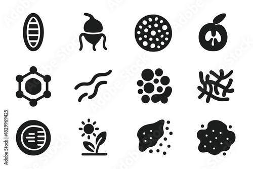 Phytoplankton Diversity Icons. Solid style icons of Phytoplankton diversity: diatom, dinoflagellate, coccolithophore, chlorophyte,