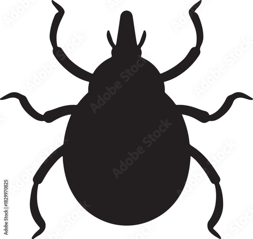 Black beetle silhouette, detailed insect graphic, nature wildlife.