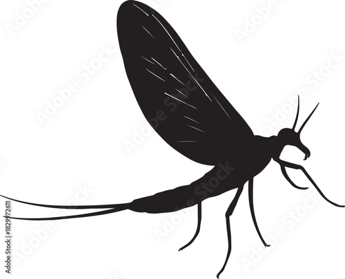 Mayfly insect silhouette graphic element for entomology designs