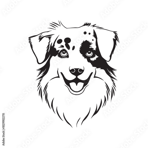 Mini Australian Shepherd drawing