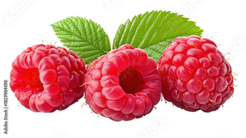 Three Ripe Raspberries with Green Leaves isolated on a transparent background