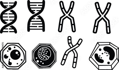Flat design black line icons of dna double helix chromosomes and biological cells arranged in two rows on white background for genetics education infographic resources