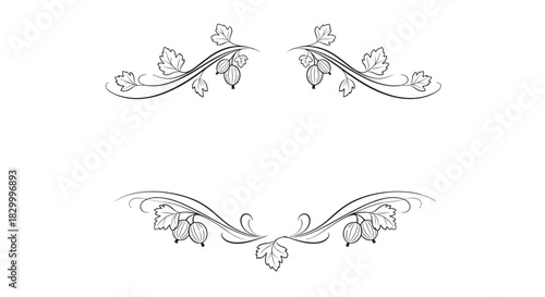 Berry text dividers featuring elegant vines and berry motifs in a decorative style