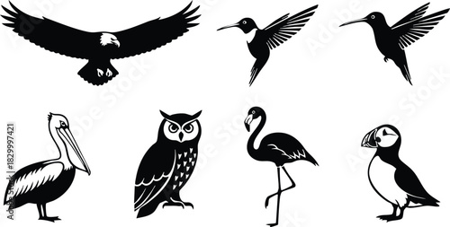 Flat vector art set of black bird silhouettes with flying eagle hummingbirds owl pelican flamingo and puffins in simple minimal style on white background