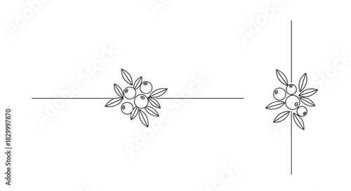 Floral text dividers featuring delicate leaves and blossoms in a minimalist style