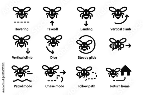 Home robotic bee flight path glide icon vector steady mode takeoff chase