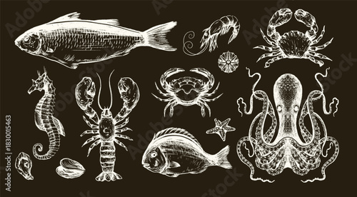 Fish sea vector isolated illustration with crab octopus seahorse shrimp lobster and starfish