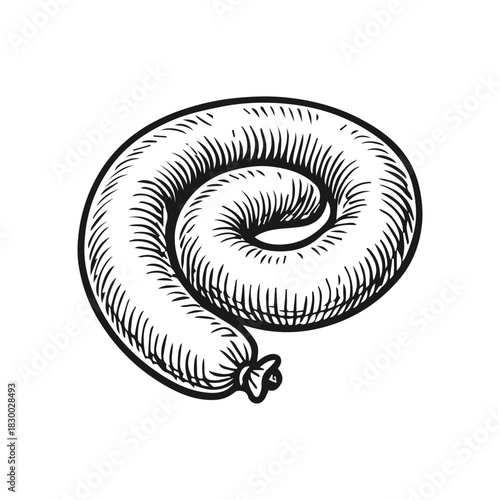 Doodle sausage sketch, hand drawn engraving.