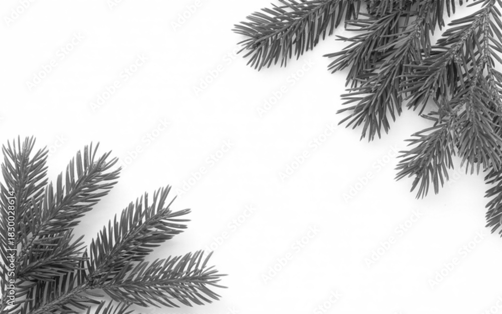 Obraz premium Black and white close up of pine tree branches against a white background needle, halftone.