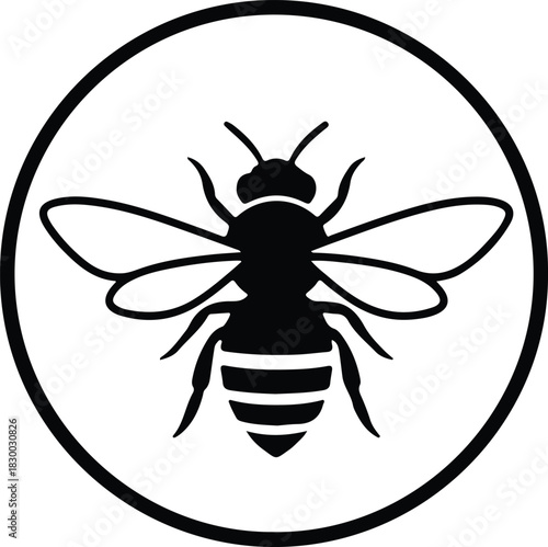 Illustration of honey bee silhouette inside round frame vector