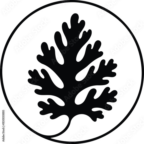 Illustration of parsley leaf in a circle frame silhouette vector