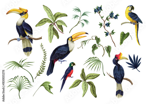 Tropic birds vector isolated exotic parrots toucans cockatoos colorful wildlife illustration collection set