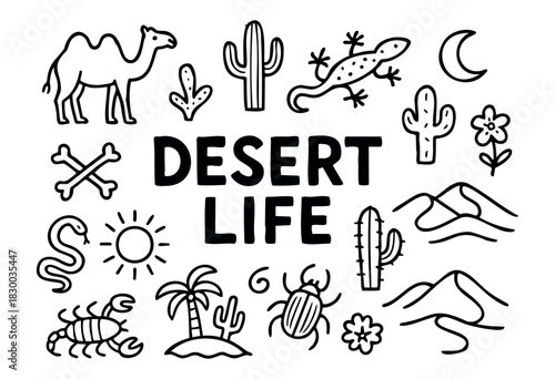 Desert life doodle illustration — camel, cactus, and other arid climate animals and plants — stock vector.