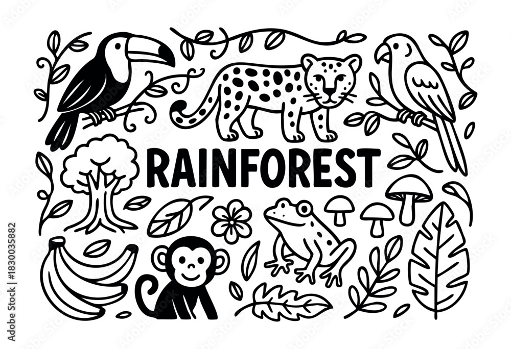 Fototapeta premium Rainforest doodle illustration — toucan, jaguar, and other tropical jungle animals and plants — stock vector.
