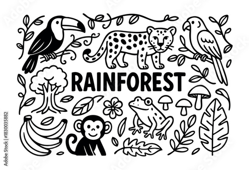 Rainforest doodle illustration — toucan, jaguar, and other tropical jungle animals and plants — stock vector.