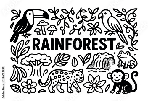 Rainforest doodle illustration — toucan, jaguar, and other tropical jungle animals and plants — stock vector.