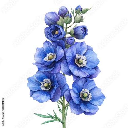 Delphinium Flower, vector clipart in watercolor with smooth gradients, isolated on a white background.