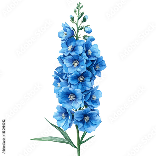Delphinium Flower, clipart watercolor vector with gentle, isolated on a white background.