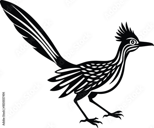 Roadrunner bird silhouette vector running with long tail for balance