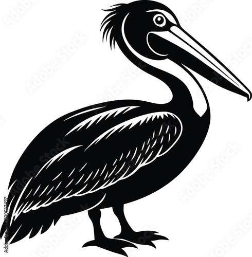 Pelican bird silhouette vector full profile with large beak pouch