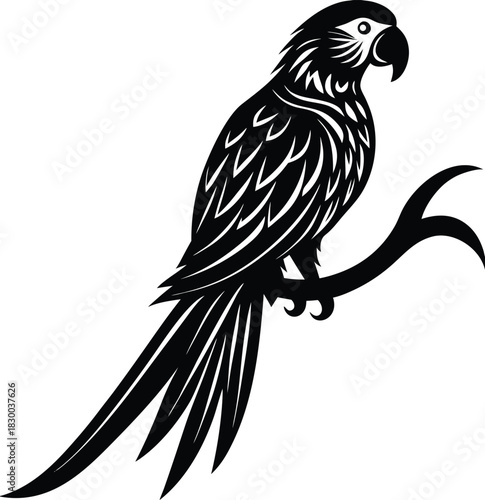 Macaw silhouette vector perched on branch with long sweeping tail