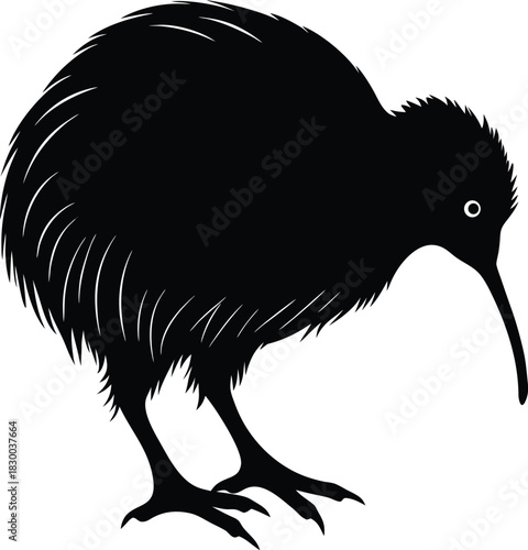 Kiwi silhouette vector profile with long thin bill touching ground