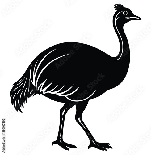 Cassowary silhouette vector walking with distinctive head casque