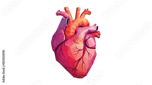An anatomical illustration of a human heart, rendered in a stylized, low-polygon art style with vibrant shades of pink, red, and orange, set against a stark white background.