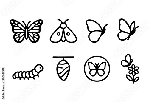 Butterfly and insect life cycle line icons — monarch, moth, caterpillar, and cocoon — stock vector.