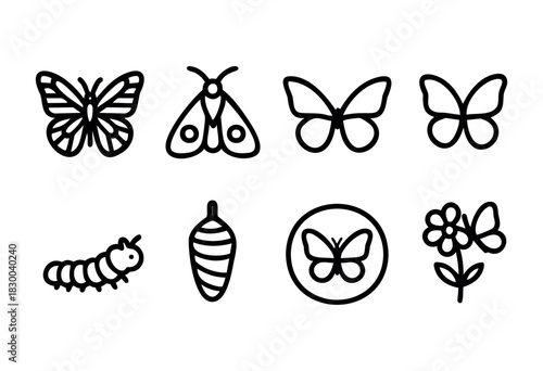 Butterfly and insect life cycle line icons — monarch, moth, caterpillar, and cocoon — stock vector.