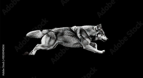 A striking monochrome image of a wolf in full stride against a stark black backdrop.